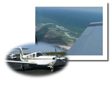 Realetechs' corporate aircraft